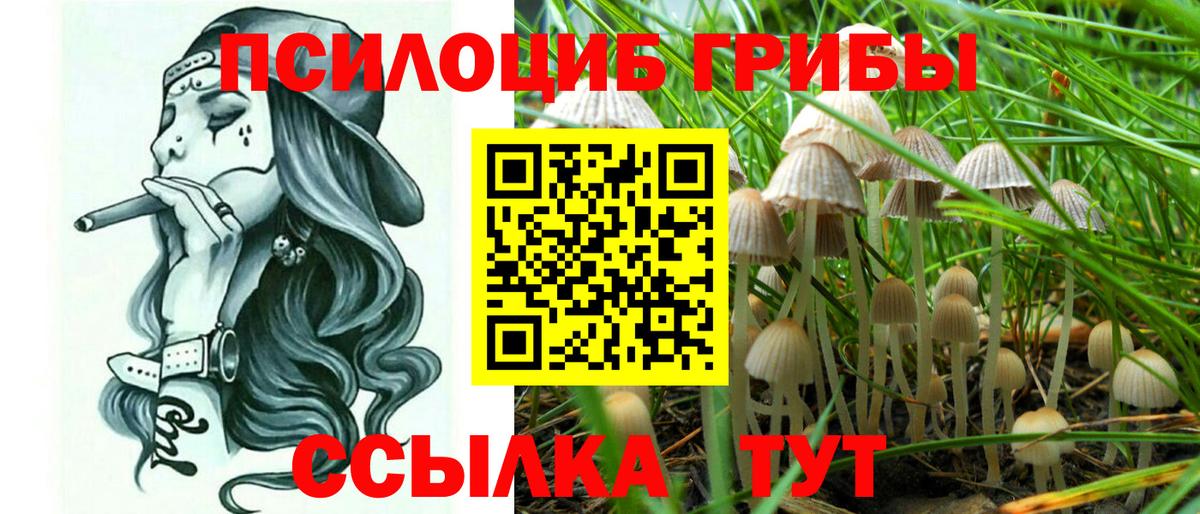 Галлюциногенные грибы ЛСД Магадан