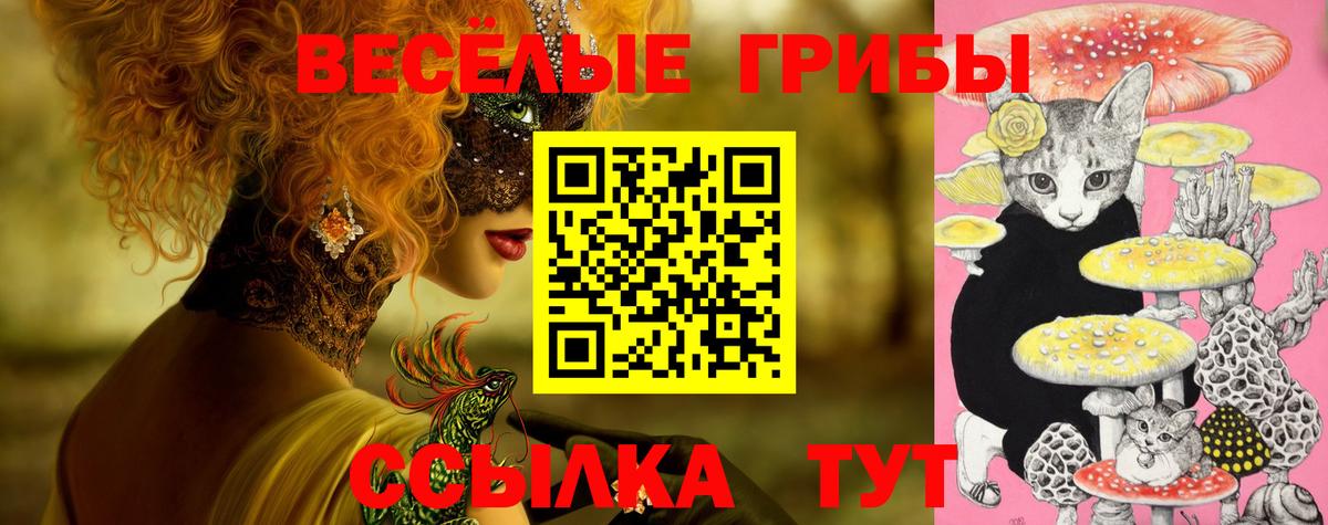 Магадан  Галлюциногенные грибы прущие грибы  Вход с VPN  Галлюциногенные грибы MAGIC MUSHROOMS 